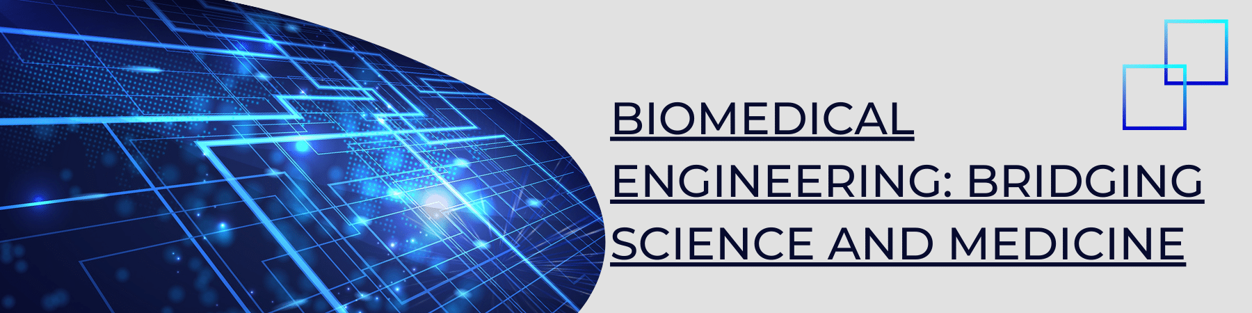 Biomedical Engineering_ Bridging Science and Medicine