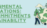 Environmental Declarations_ Global Commitments to Sustainability