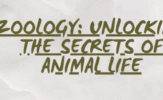Zoology_ Unlocking the Secrets of Animal Life
