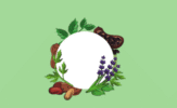 Ayurvedic Treatments_ insight into Holistic Healing