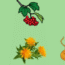 Diverse Paths of Ayurveda