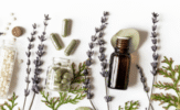 Exploring the Dietary Recommendations of Homeopathy