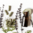 Exploring the Dietary Recommendations of Homeopathy