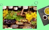 Exploring the Essence_Oils and Herbs in Native Japanese Medicine