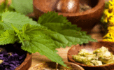 Exploring the Types of Siddha Practices