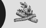 Origin and Development of Native European Medicine