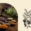 Types of Native Iranian Medicine