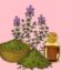 Unveiling the Healing Treasures of Herbs and Oils Used in Sumerian Medicine