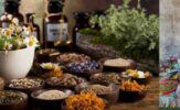 Wisdom of Inyanga Healers_ African Herbal Medicine
