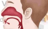 Advancements and Contributions in Otolaryngology