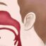 Advancements and Contributions in Otolaryngology