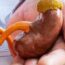 Depths of Nephrology_ Origins, Types, and Major Disorder