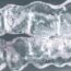 Exploring 30 Contributors and Their Impact on Orthodontics