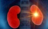 Landmark Developments in Nephrology