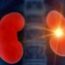 Landmark Developments in Nephrology
