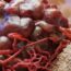 Oral Pathology_ A Decade of Advancements