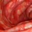 Origins and Diversity of Gastroenterology