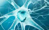 Origins and Diversity of Neurology_ A Journey Through the Brain