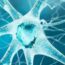 Origins and Diversity of Neurology_ A Journey Through the Brain