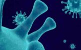 Origins of Infectious Diseases_ Types and Major Outbreaks Across the Globe