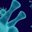 Origins of Infectious Diseases_ Types and Major Outbreaks Across the Globe