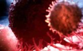 Roots and Branches of Oncology_ Tracing Its Origins and Diverse Specializations